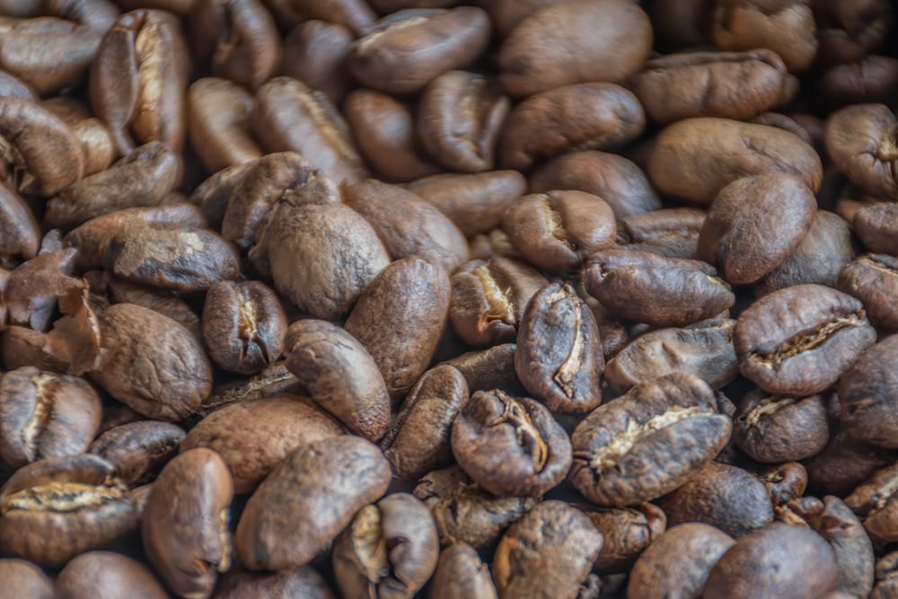 Granos de café tostado