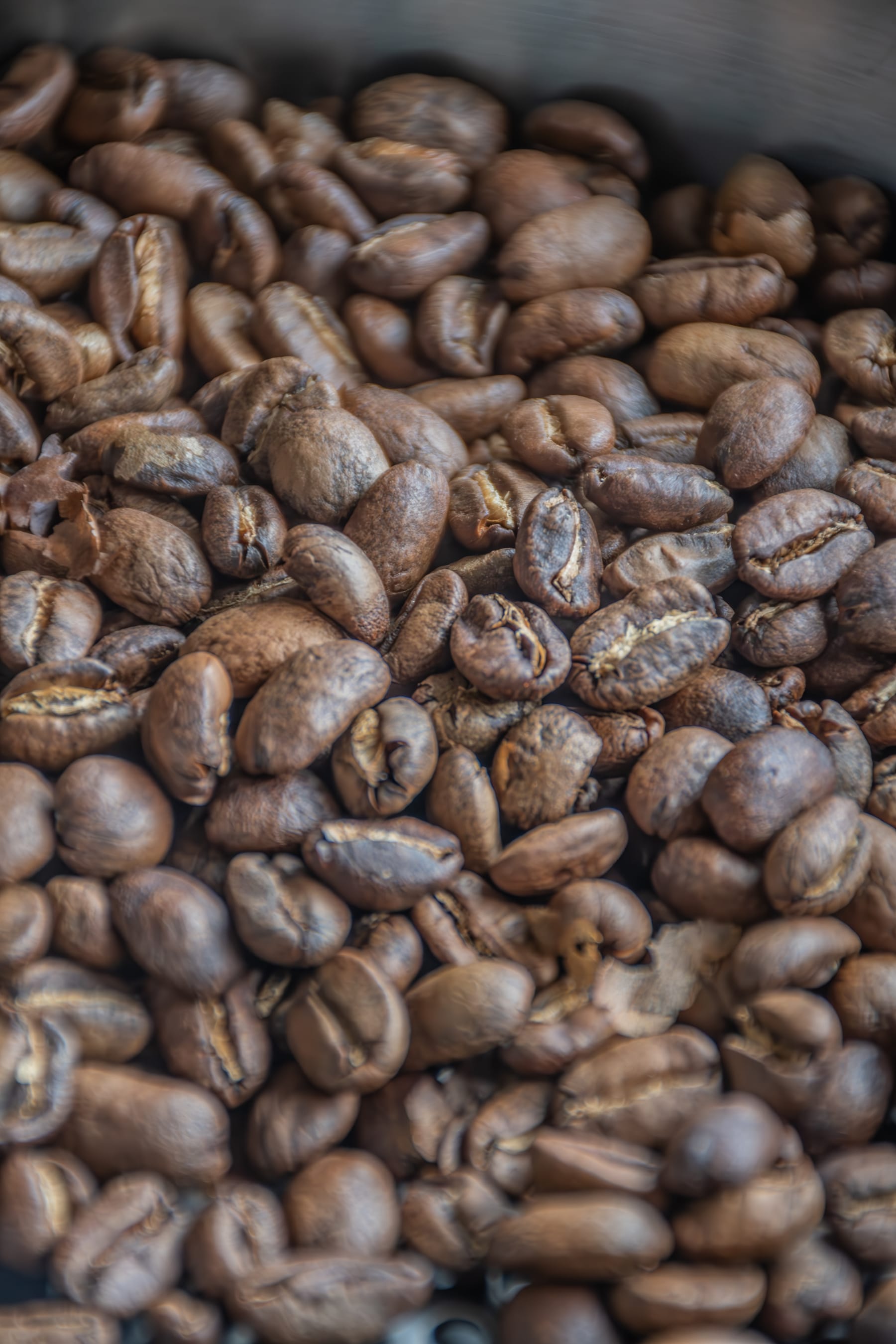 Granos de café tostado