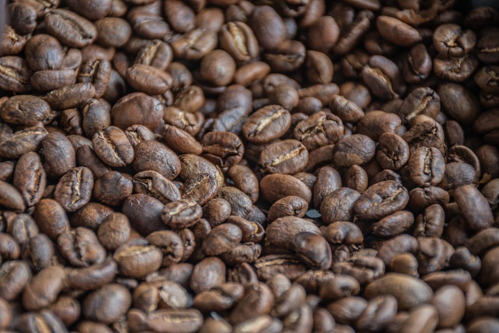 Granos de café tostado recién salidos del tueste